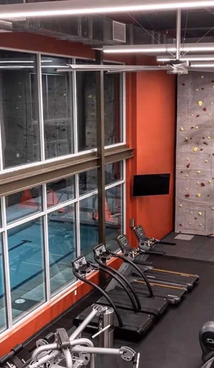 Onsite gym and climbing wall